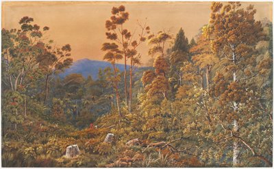 A Golden Eve, Waiheke Island by Alfred Sharpe